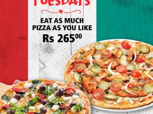 Panarottis Mauritius – Tuesdays eat as much pizza as you like for