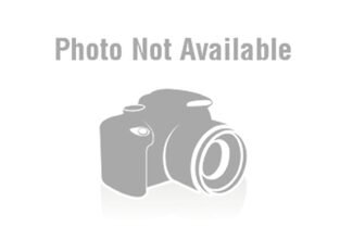 Pizza Inn – Large Pizza for just Rs.250 – Today 8 Sept 25